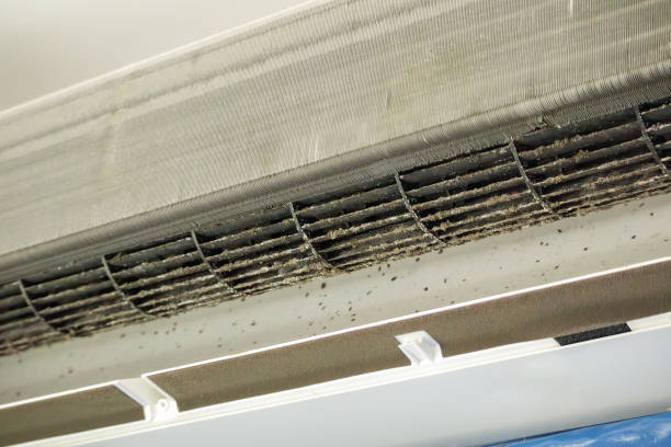 Best HVAC Air Duct Cleaning  in Lindale, TX